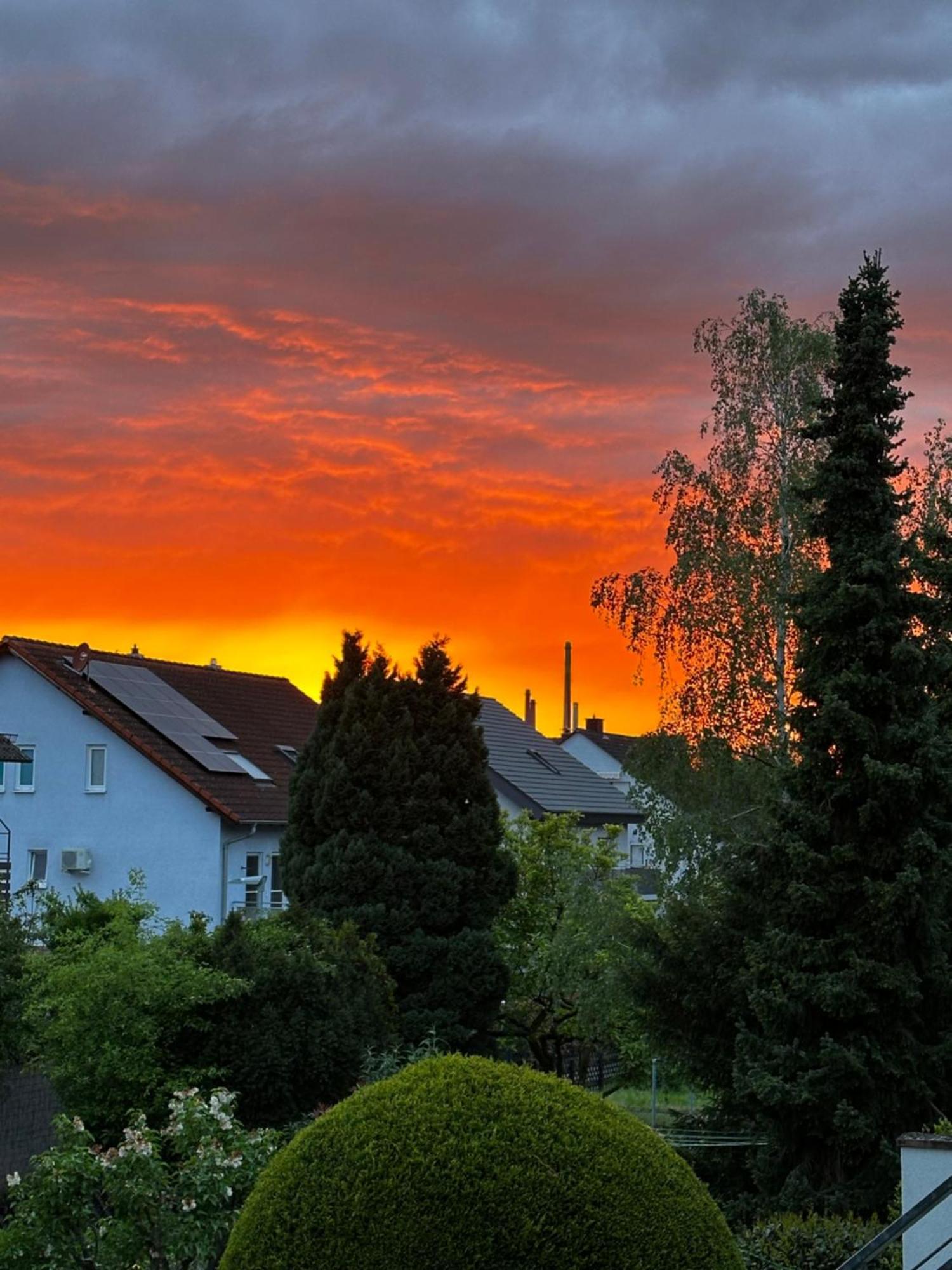 Gemuetliche Wohnung Karlsruhe Buitenkant foto